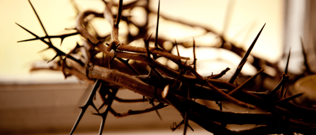 crown_of_thorns-1