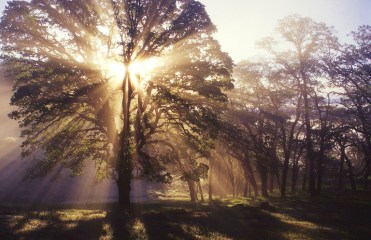 marylaneanderson_creation13